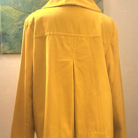 Yellow Jacket - Picture 3 of 3